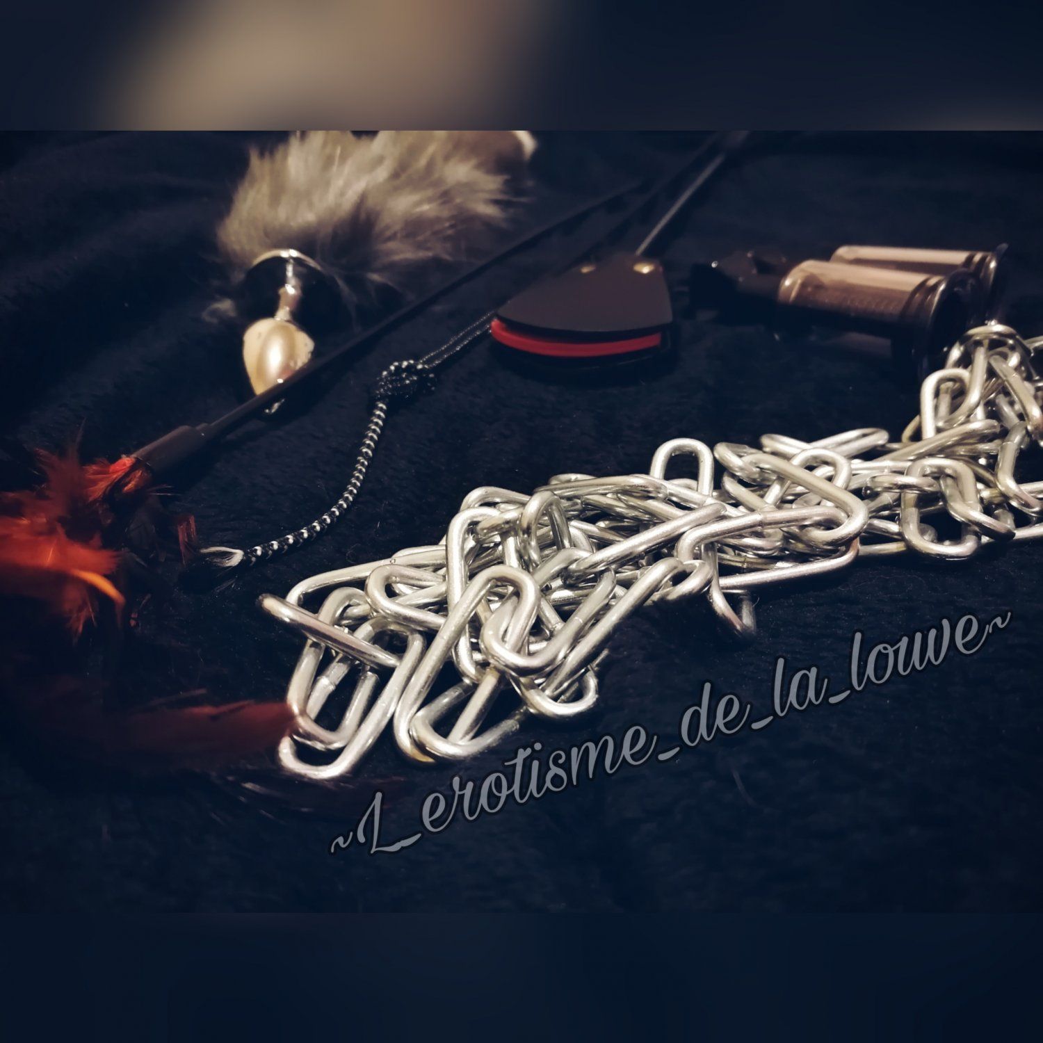 L_erotisme_de_louve's media
