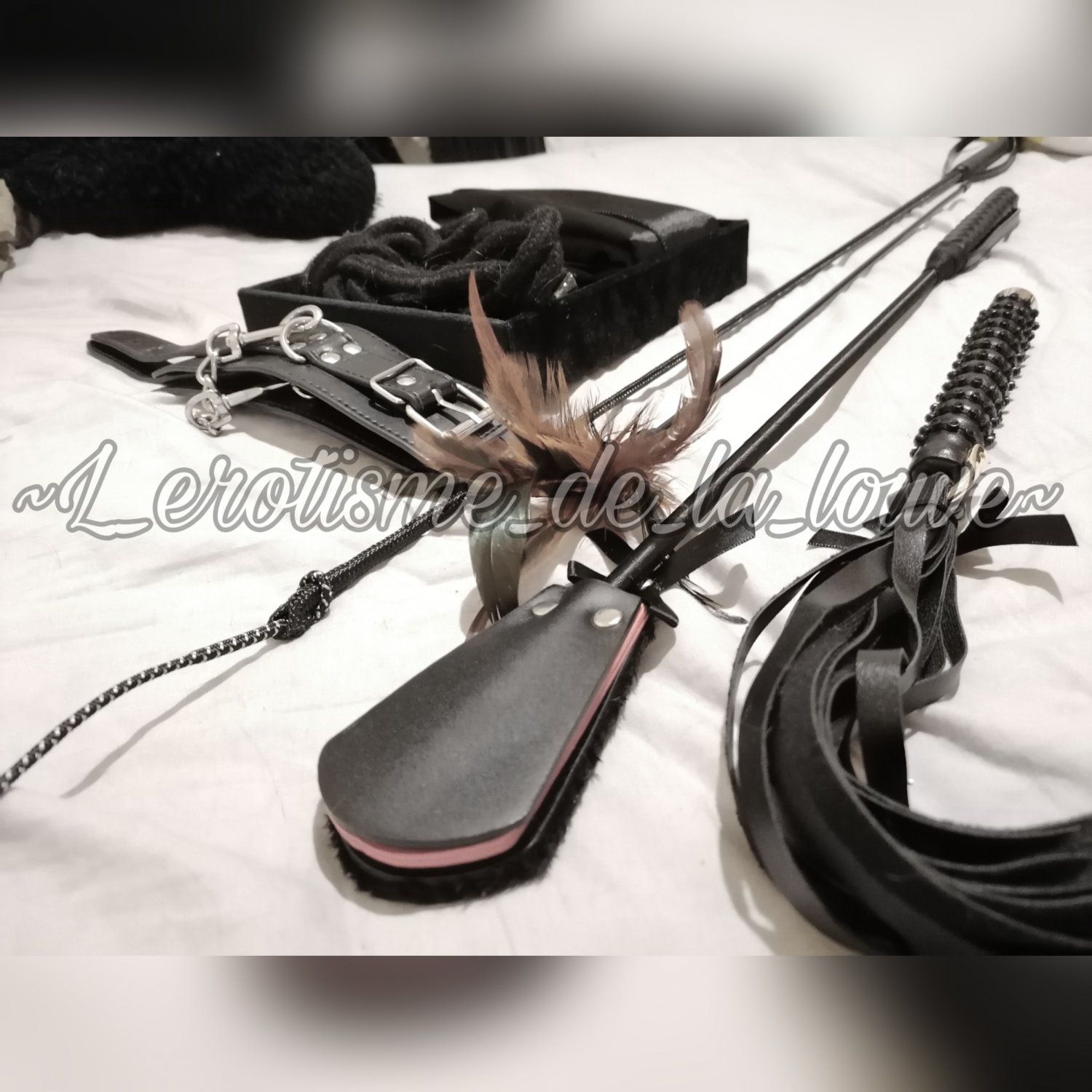 L_erotisme_de_louve's media