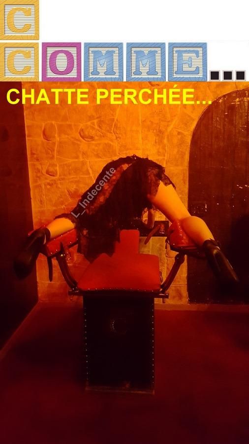 L_indecente's media
