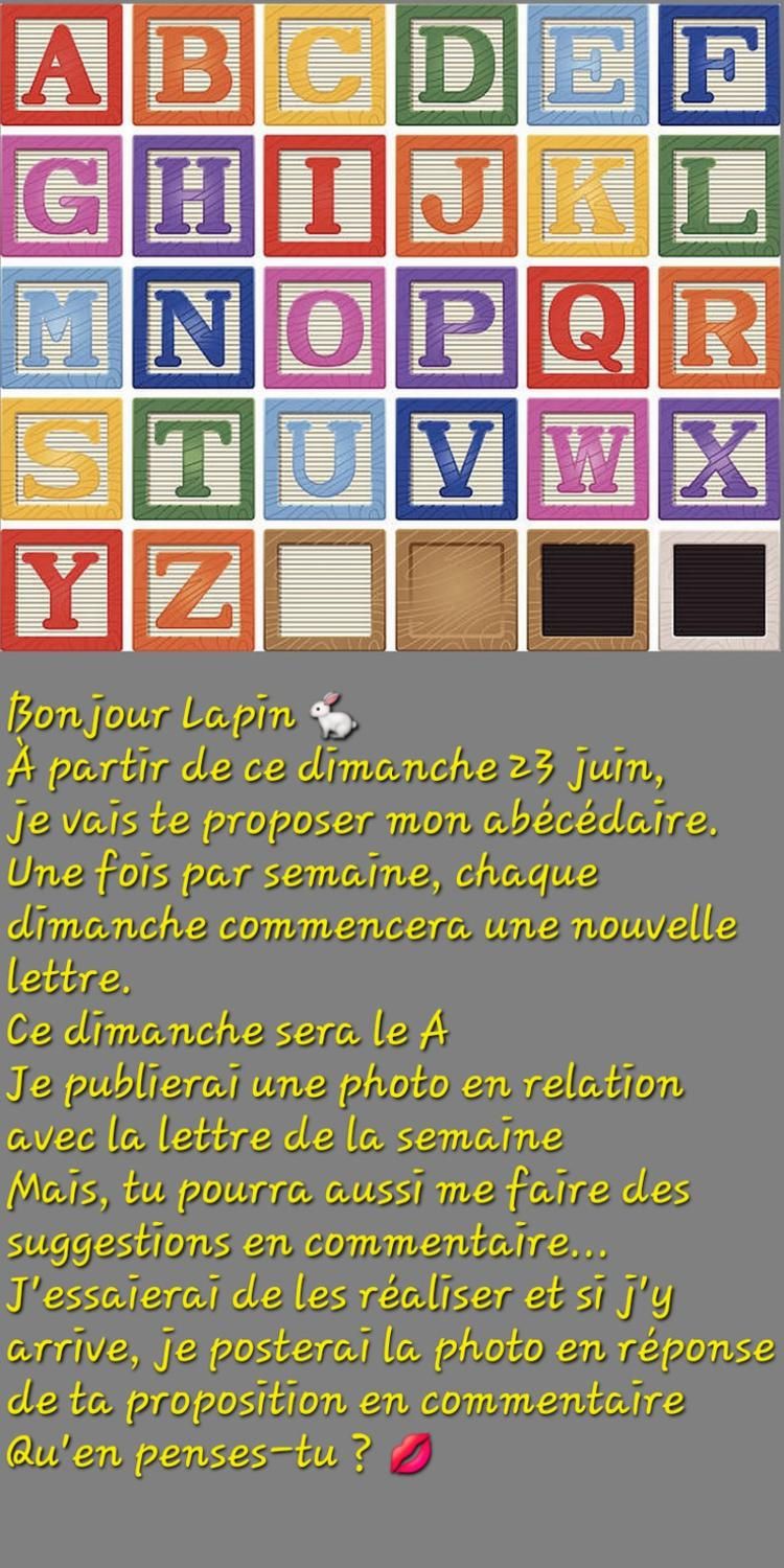 L_indecente's media
