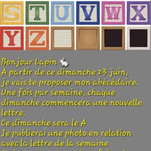 L_indecente's media