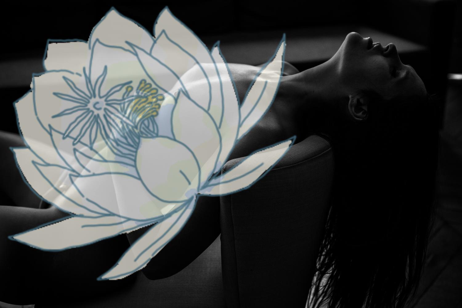 Lady_aphrodite's media