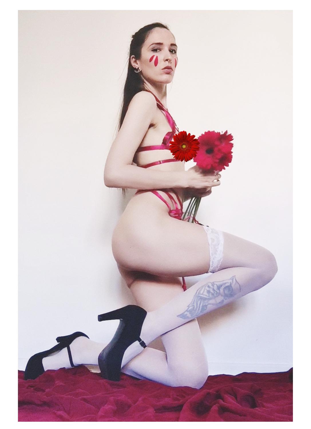 Lady_aphrodite's media