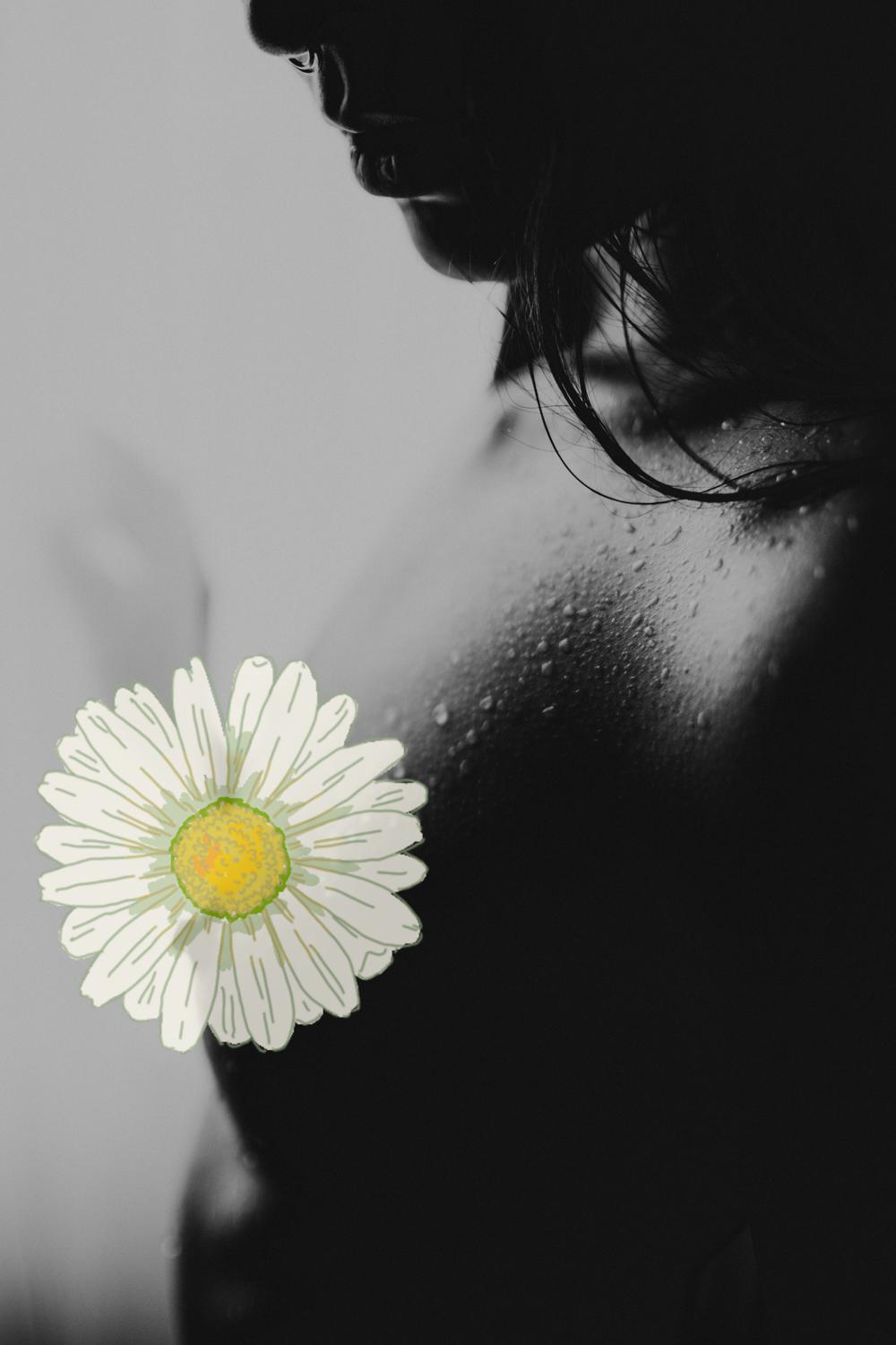 Lady_aphrodite's media