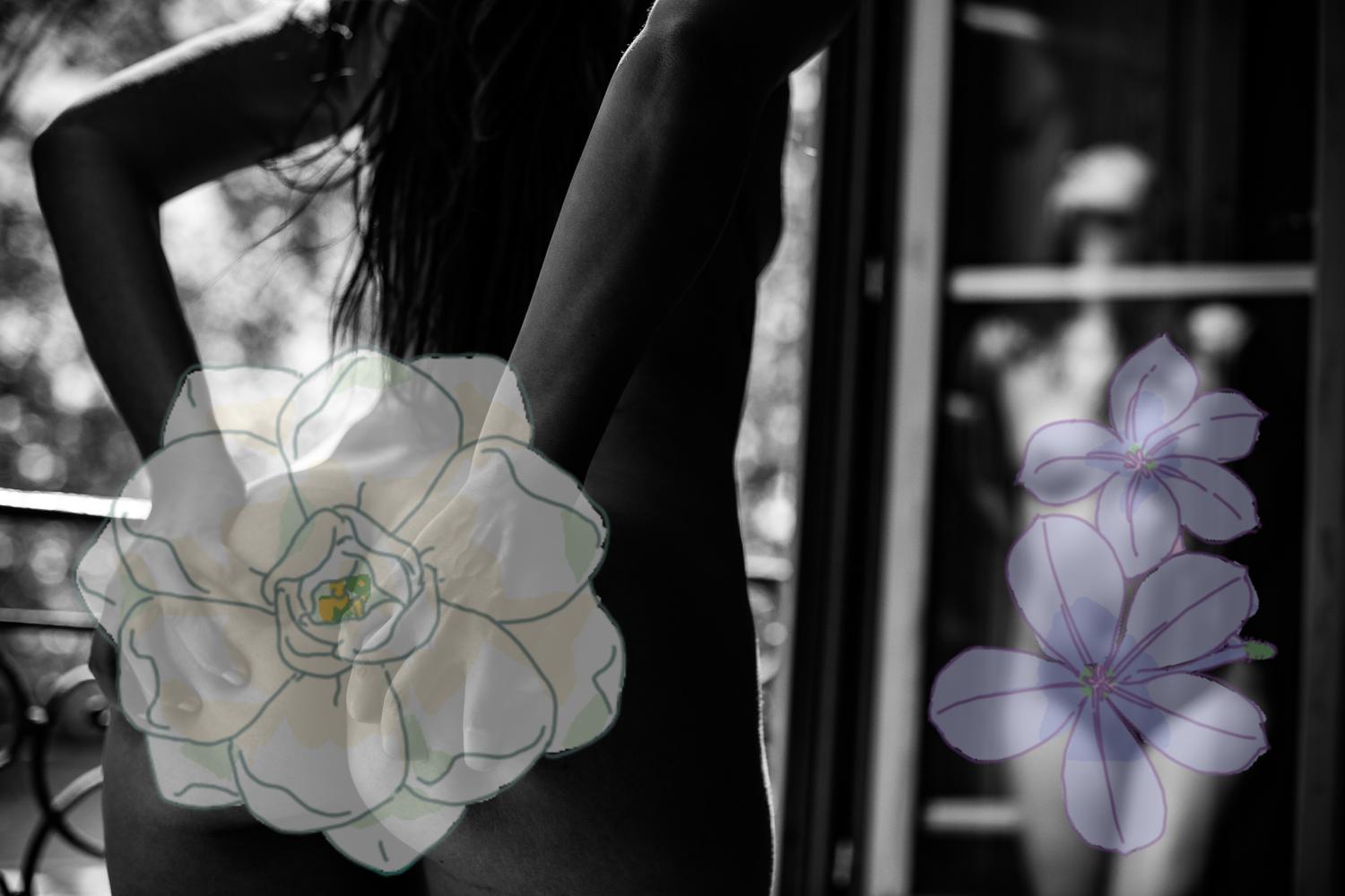 Lady_aphrodite's media