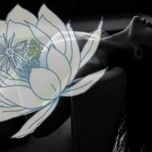 Lady_aphrodite's media