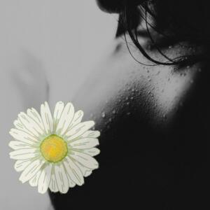 Lady_aphrodite's media