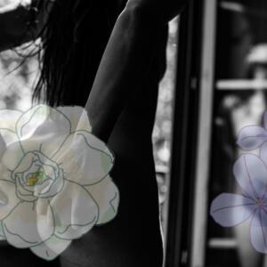 Lady_aphrodite's media