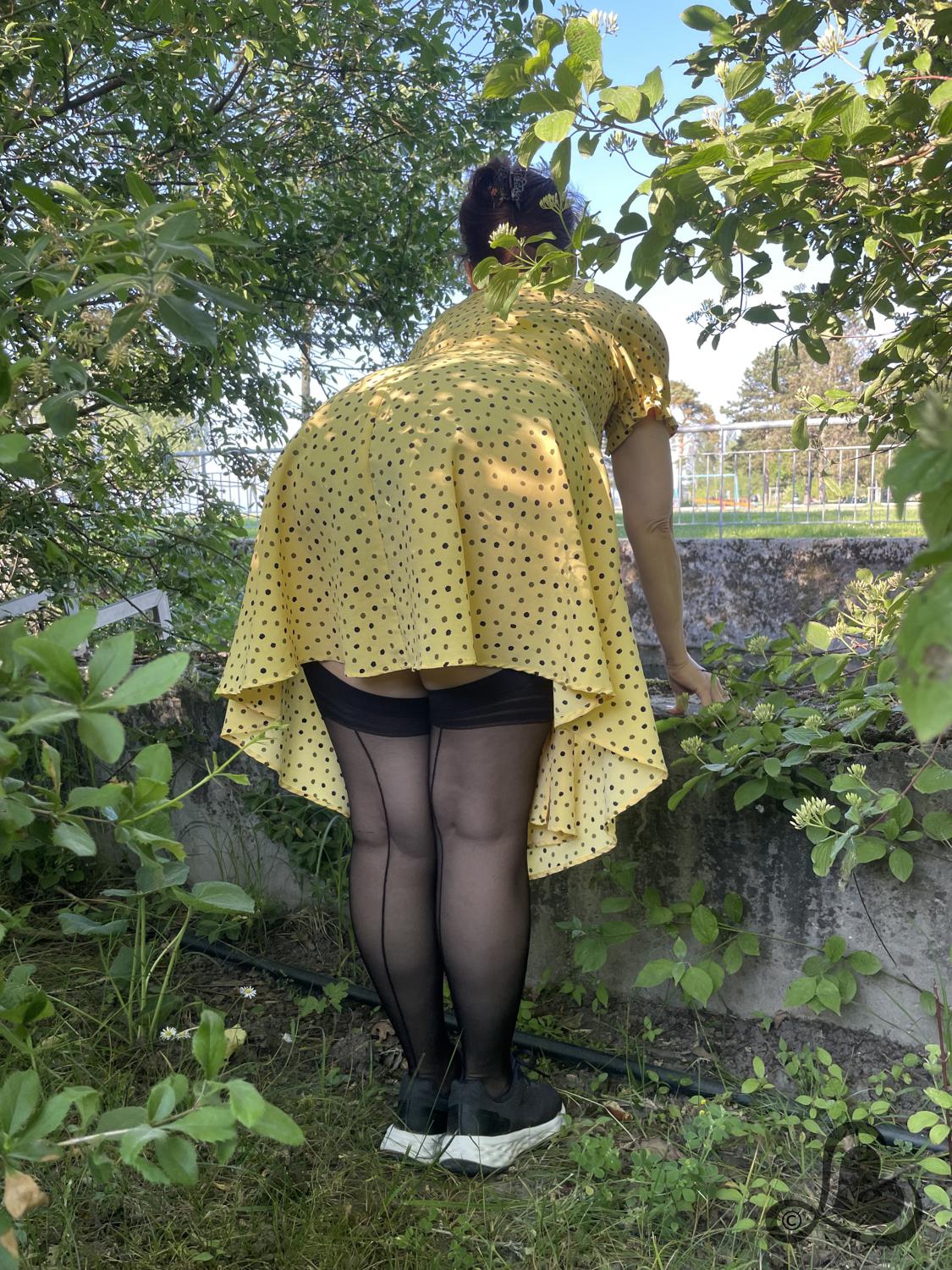 Ladybelynda's media