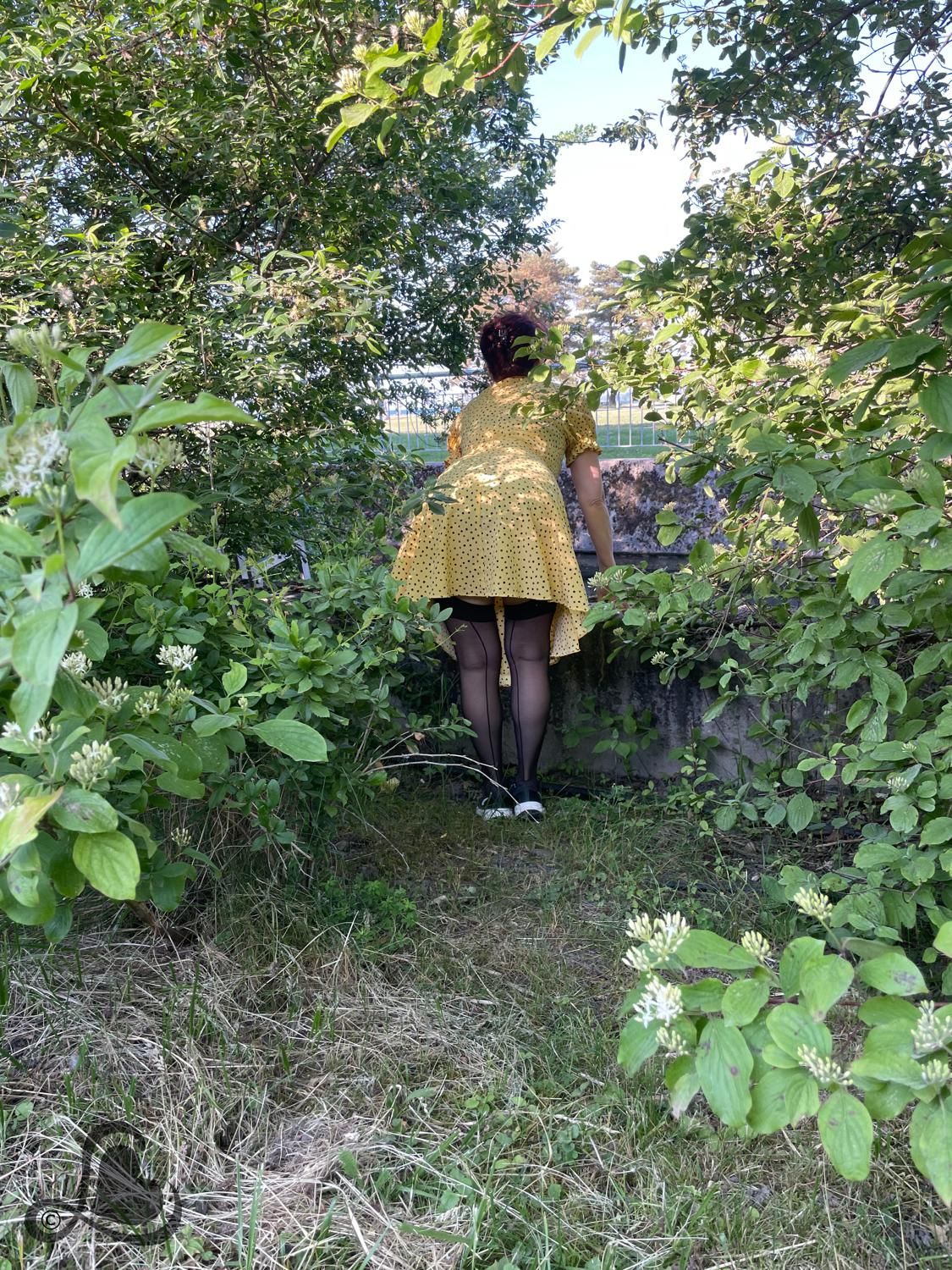 Ladybelynda's media
