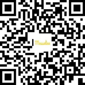 Ladyra's media