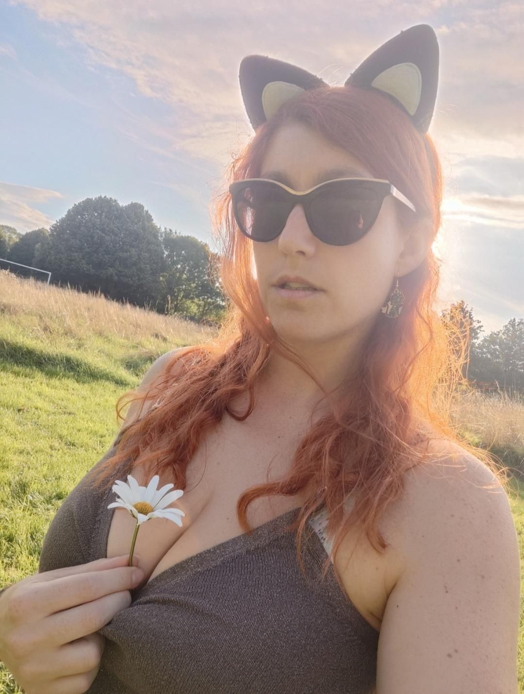 Ladyvixie's media