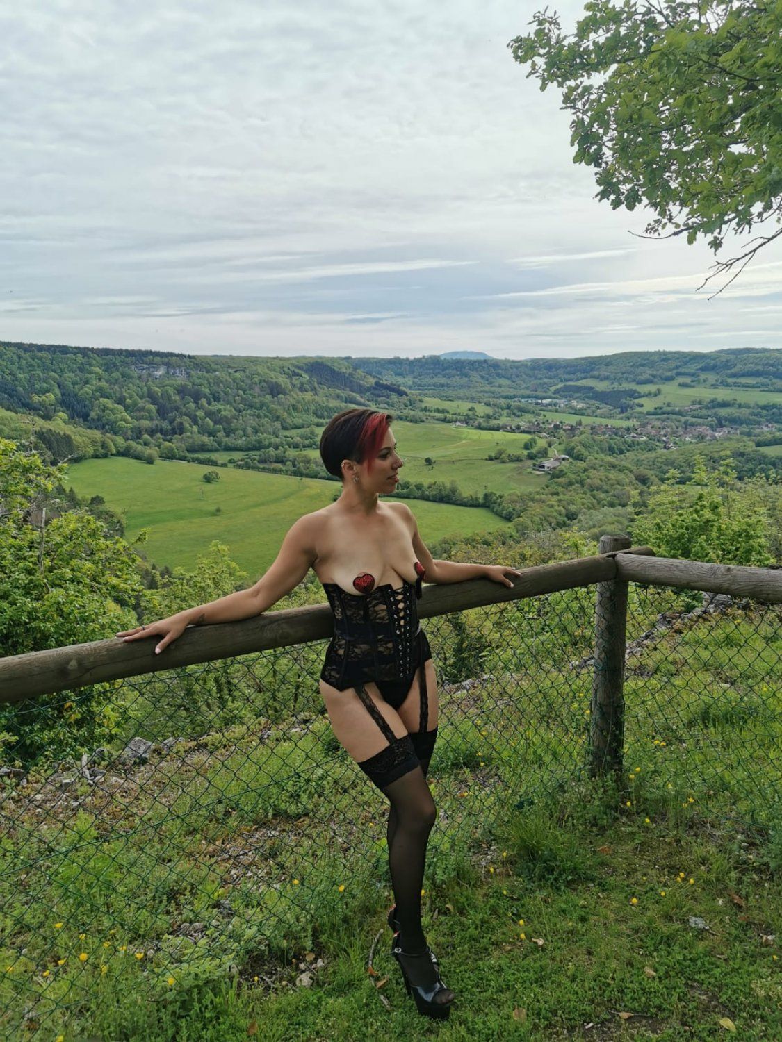 Laeti-plaisir's media