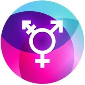 Lalouvetrans's media