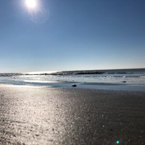 Landsand_sea's media
