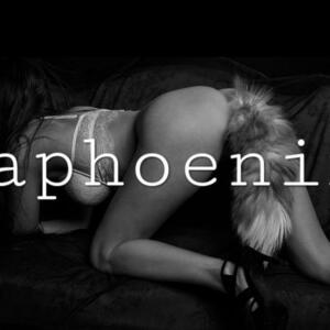 Laphoenix_'s media