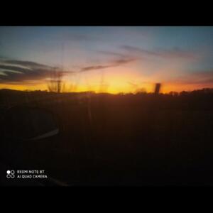 _lawrence's media