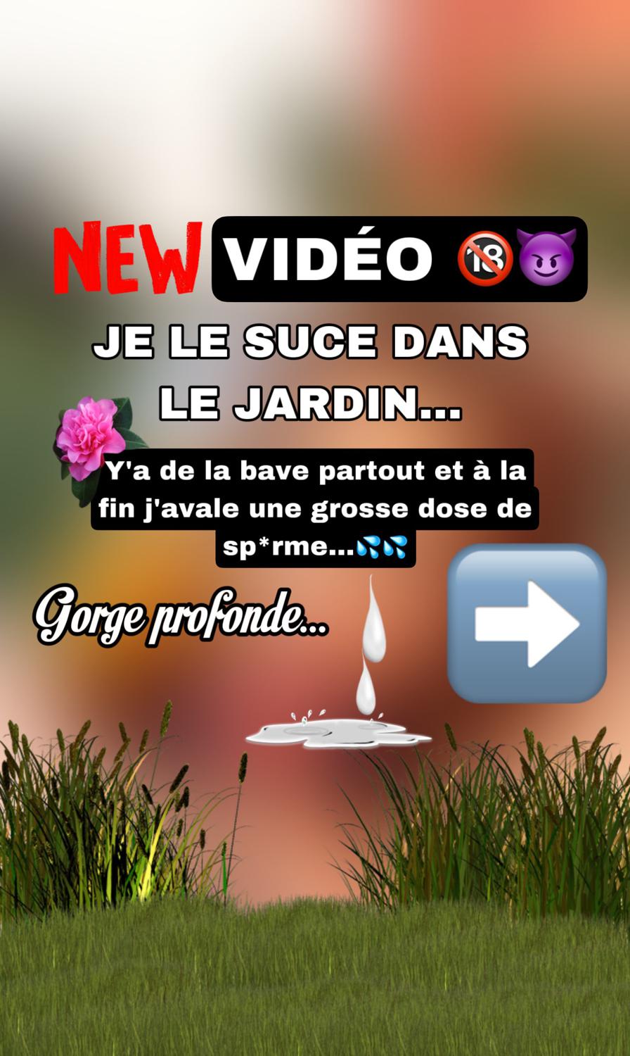 Leachipie's media