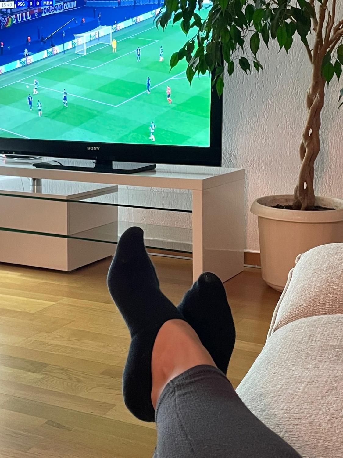 Lesbombassesdu66's media