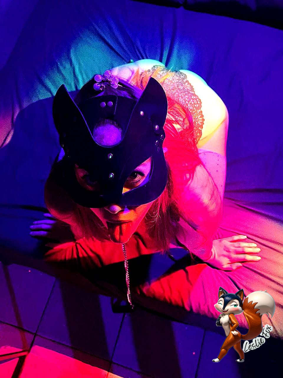 Lesliefox-off's media
