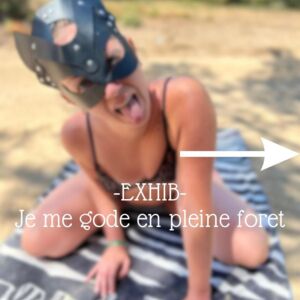 Lesliefox-off's media