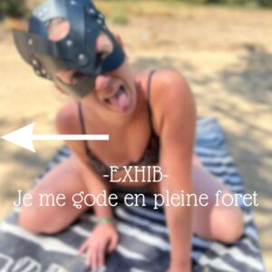 Lesliefox-off's media