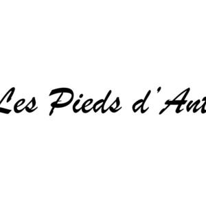 Lespiedsdantho's media