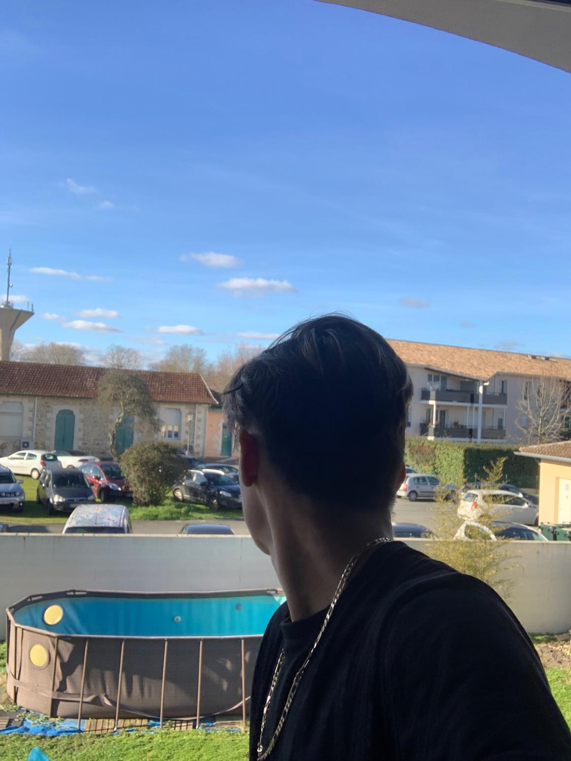Lexado's media