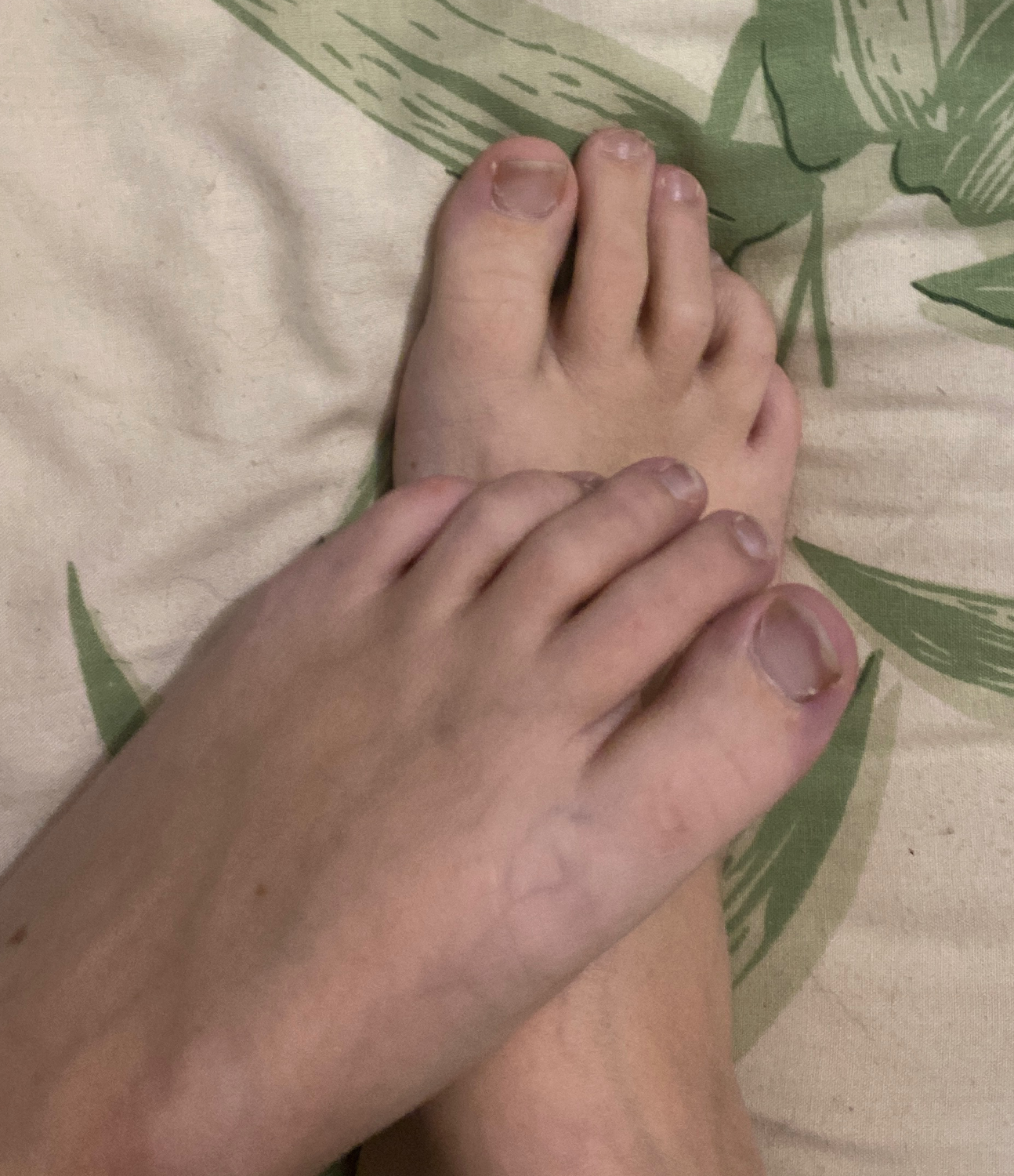 Licorne_pied-nue's media