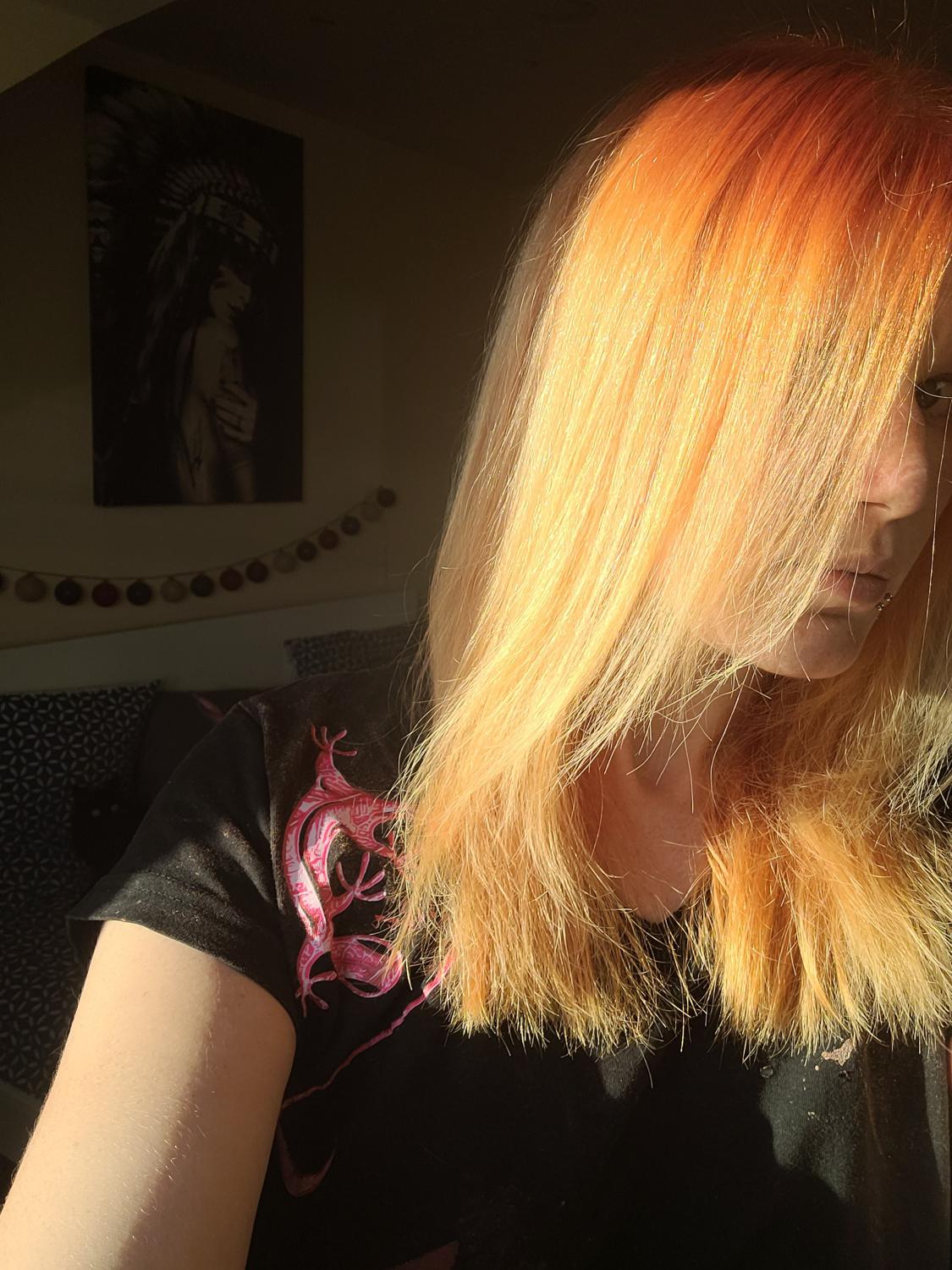 Licorne45's media