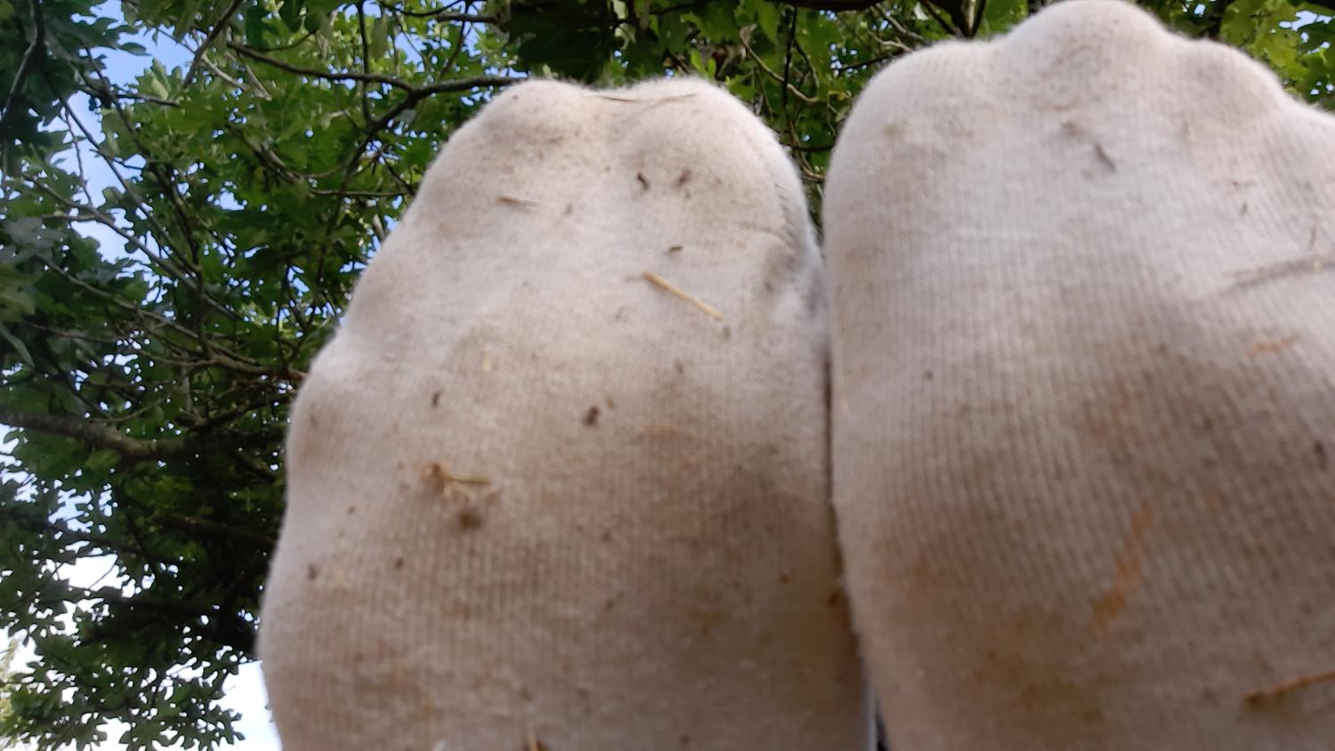 Lilasexyfeet's media