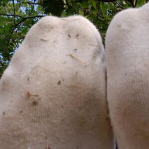 Lilasexyfeet's media