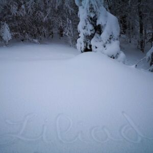 Liliad's media