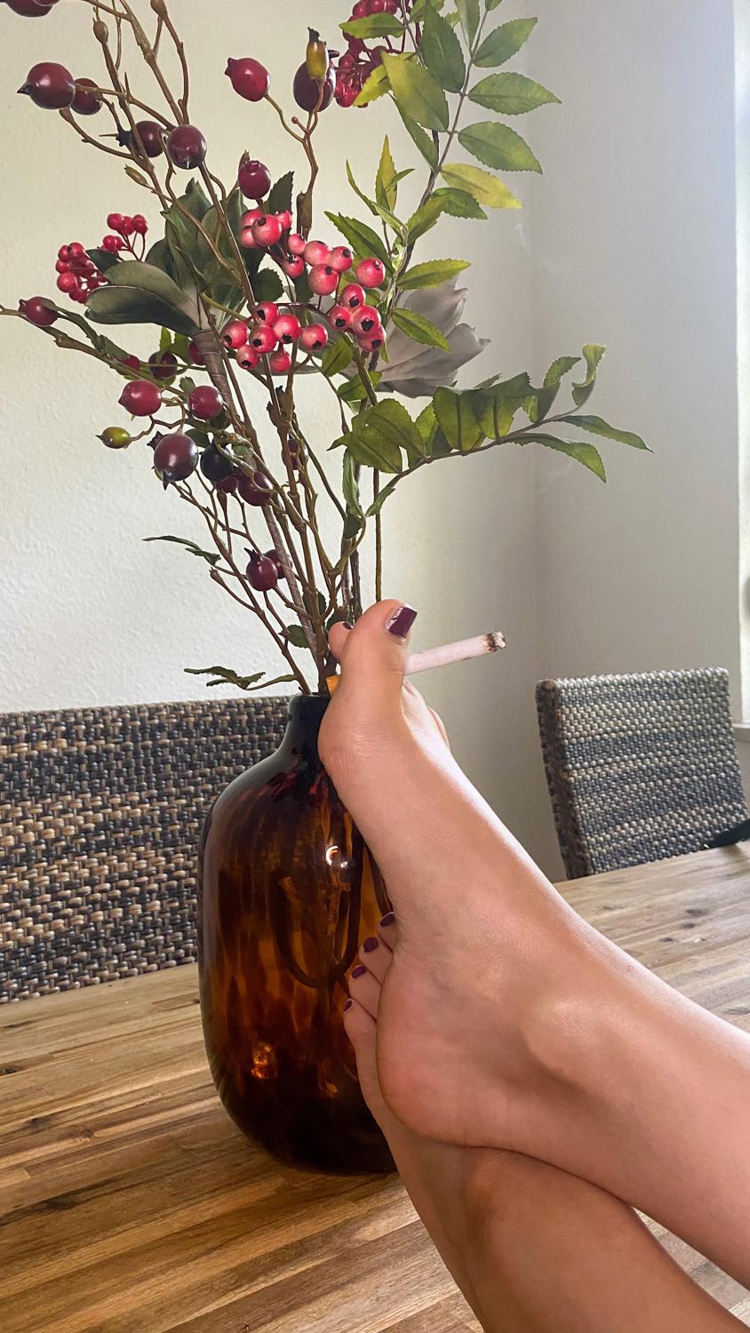 Lillybarefoot's media