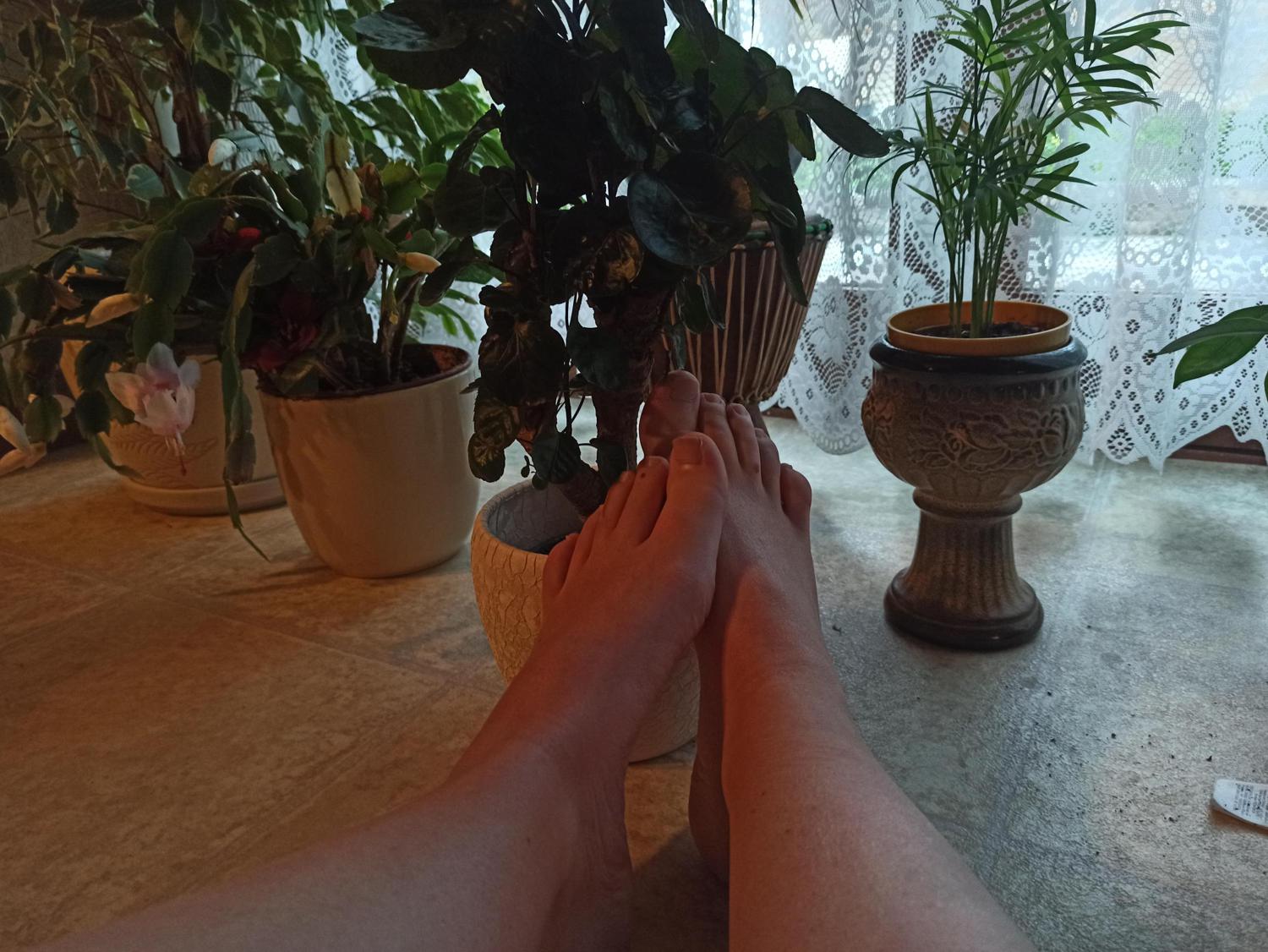 Lily_feet17's media