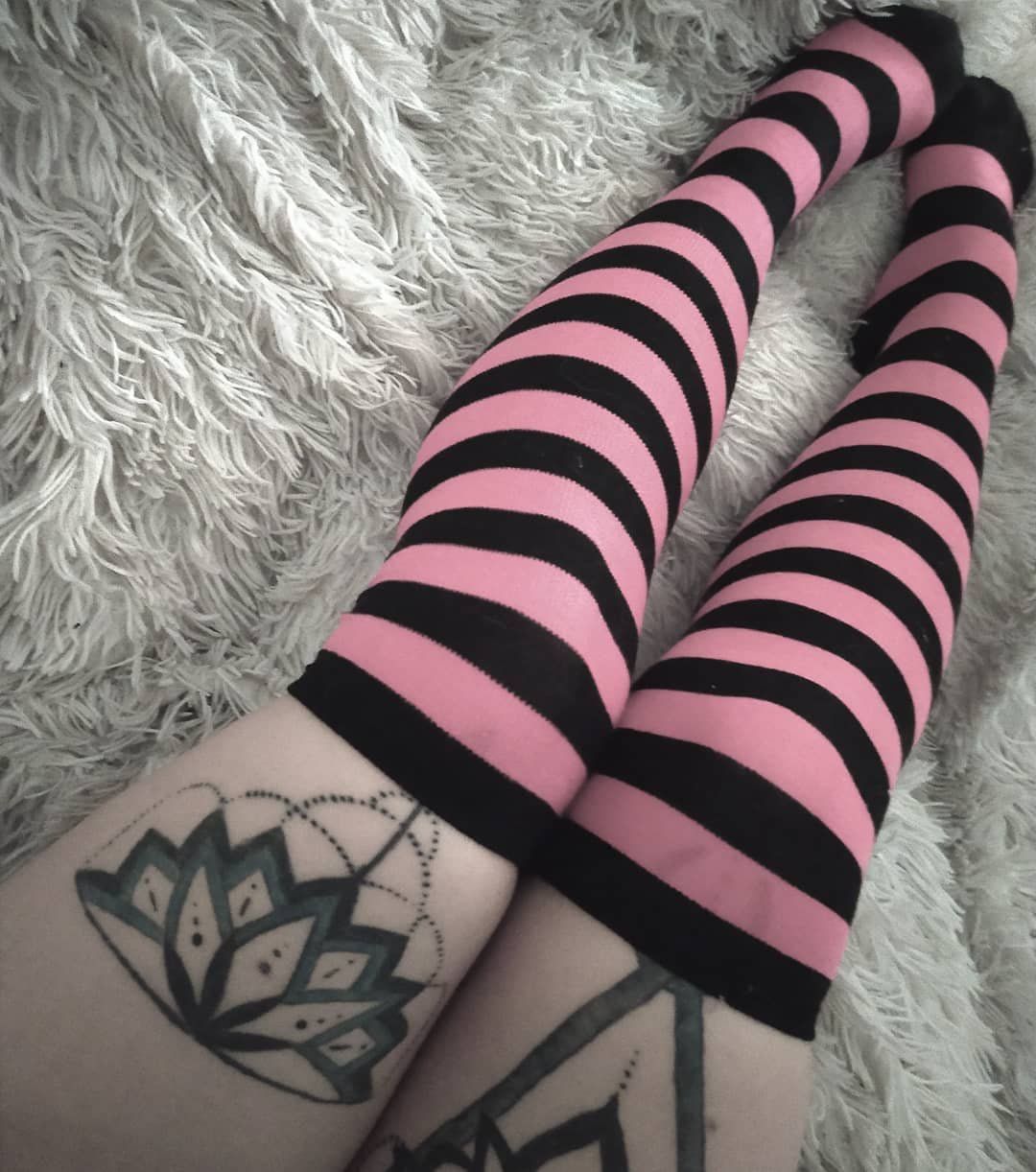 Lilyxluxury's media