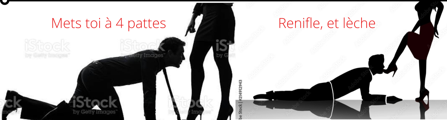 Limperatrice8's media