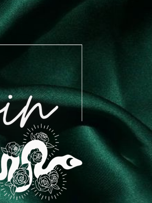 Lingerie_nocturne_'s media
