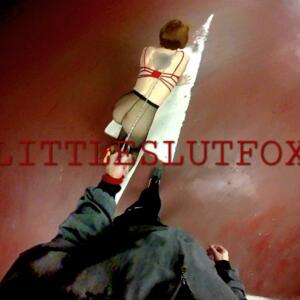 Littleslutfox's media