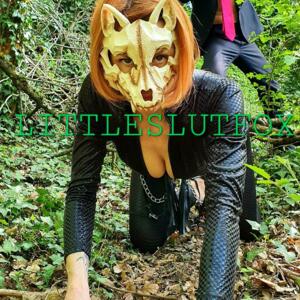 Littleslutfox's media