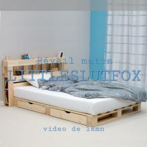 Littleslutfox's media