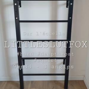 Littleslutfox's media