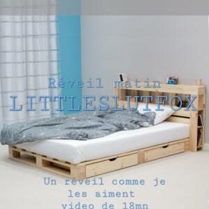 Littleslutfox's media