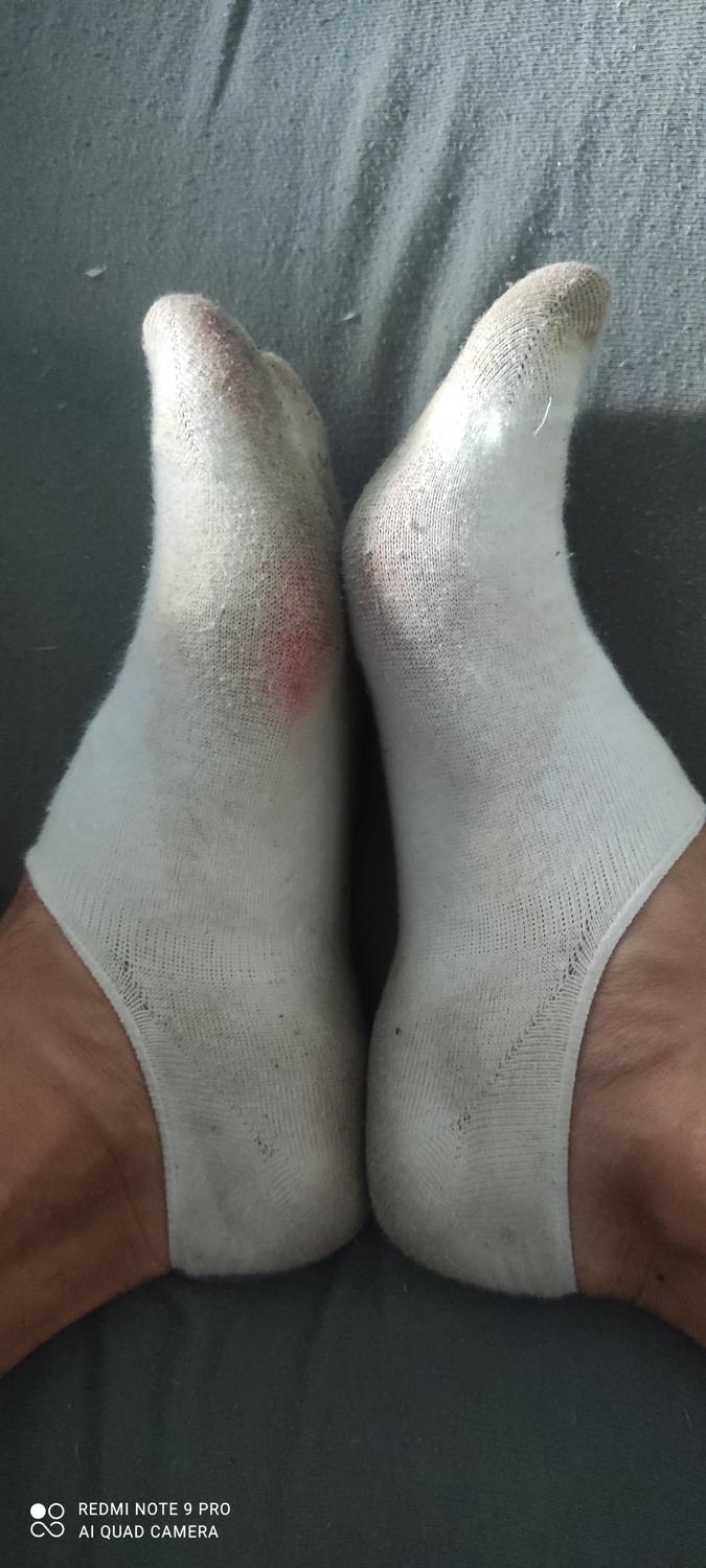 Lola_bixeale_socks's media