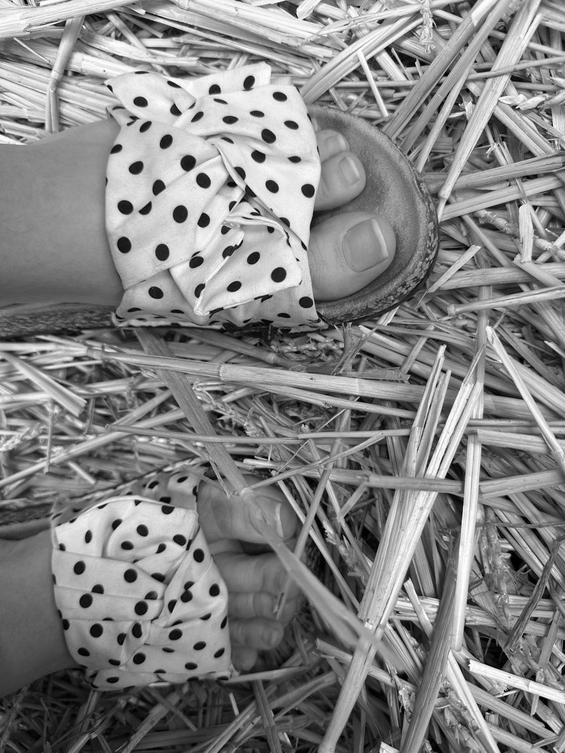 Loulou0299's media