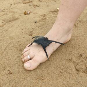 Lovemyfootbaby's media