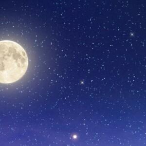 Luce-in-the-sky's media