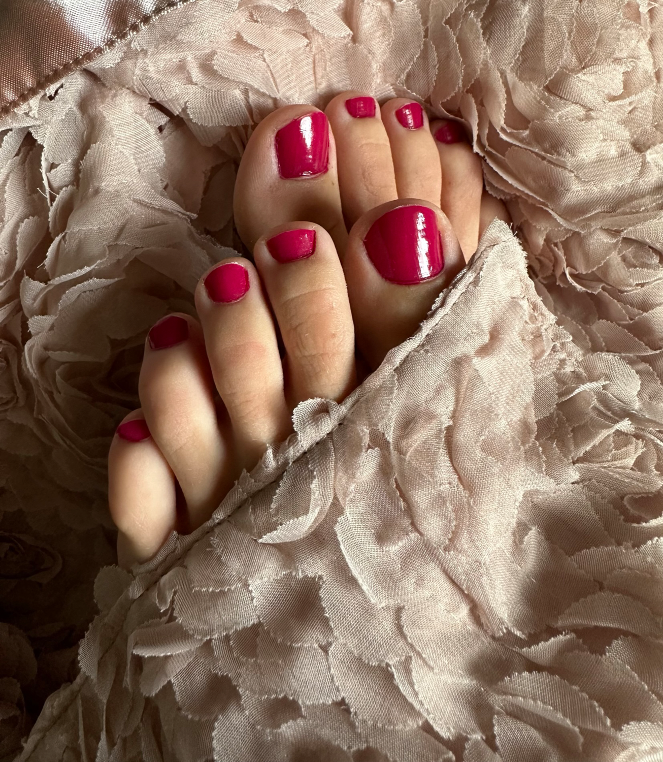 Lucia-feet's media