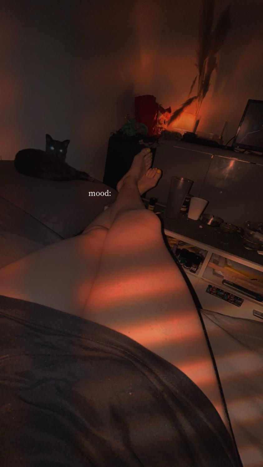Luna_tixe's media