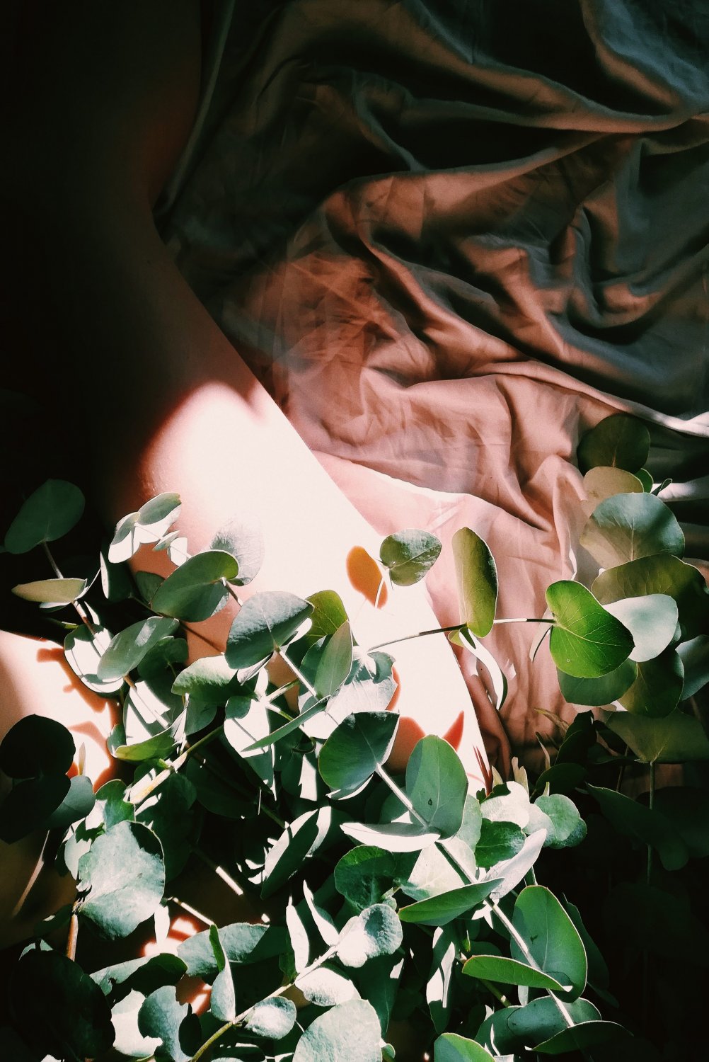 Lunefauve's media